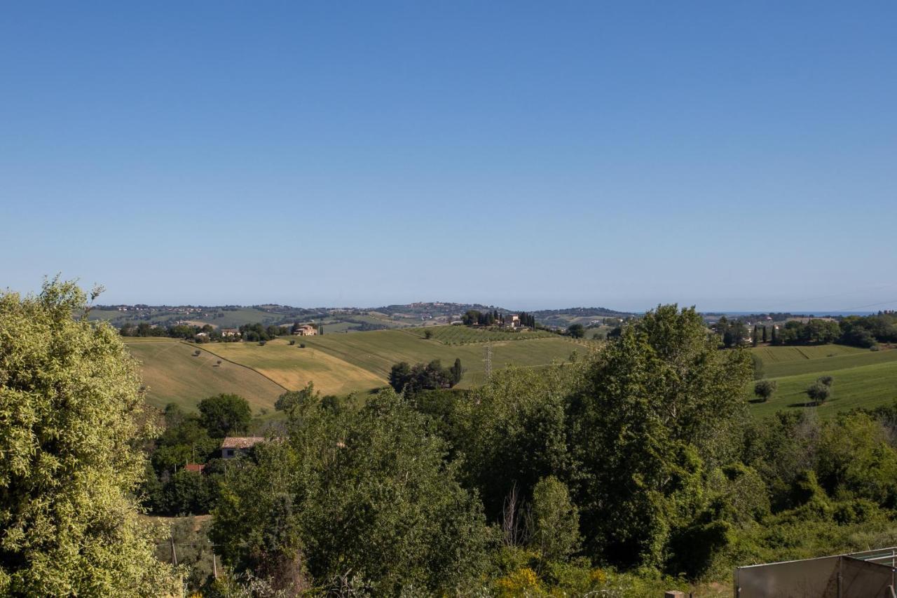 La Principessa Nera B&B Ostra Esterno foto