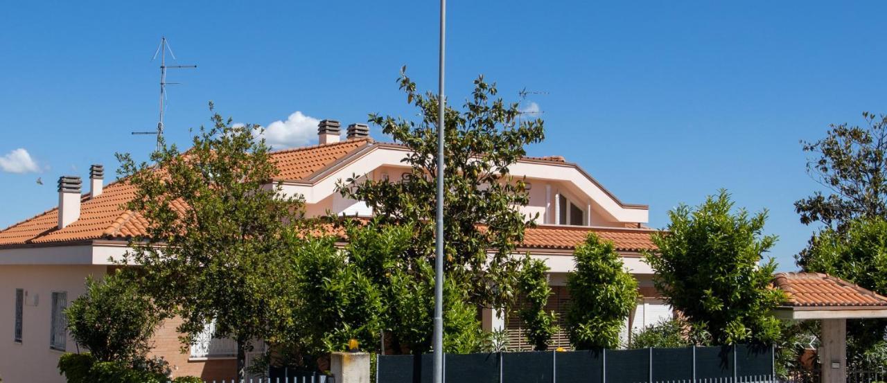 La Principessa Nera B&B Ostra Esterno foto