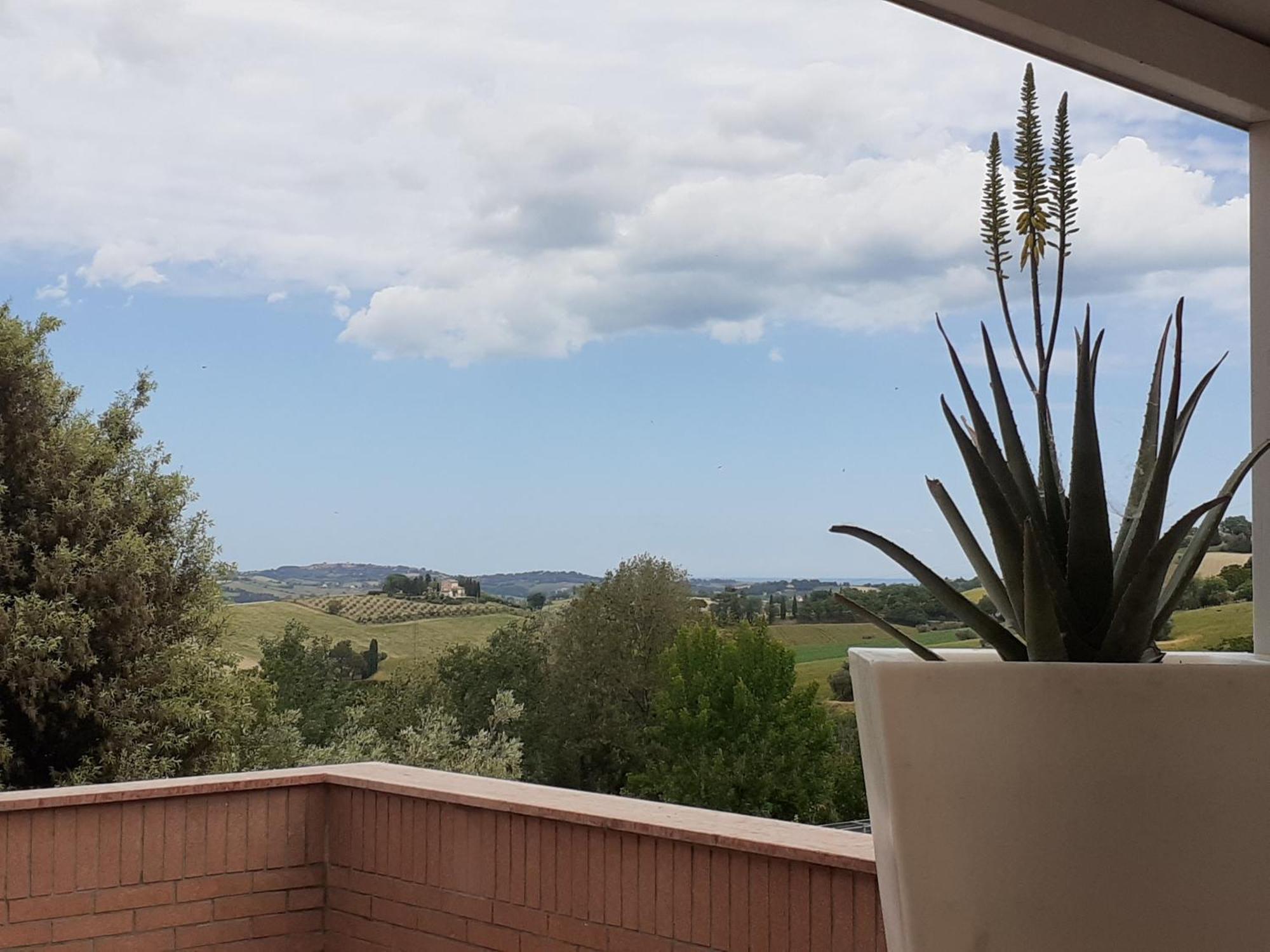 La Principessa Nera B&B Ostra Esterno foto