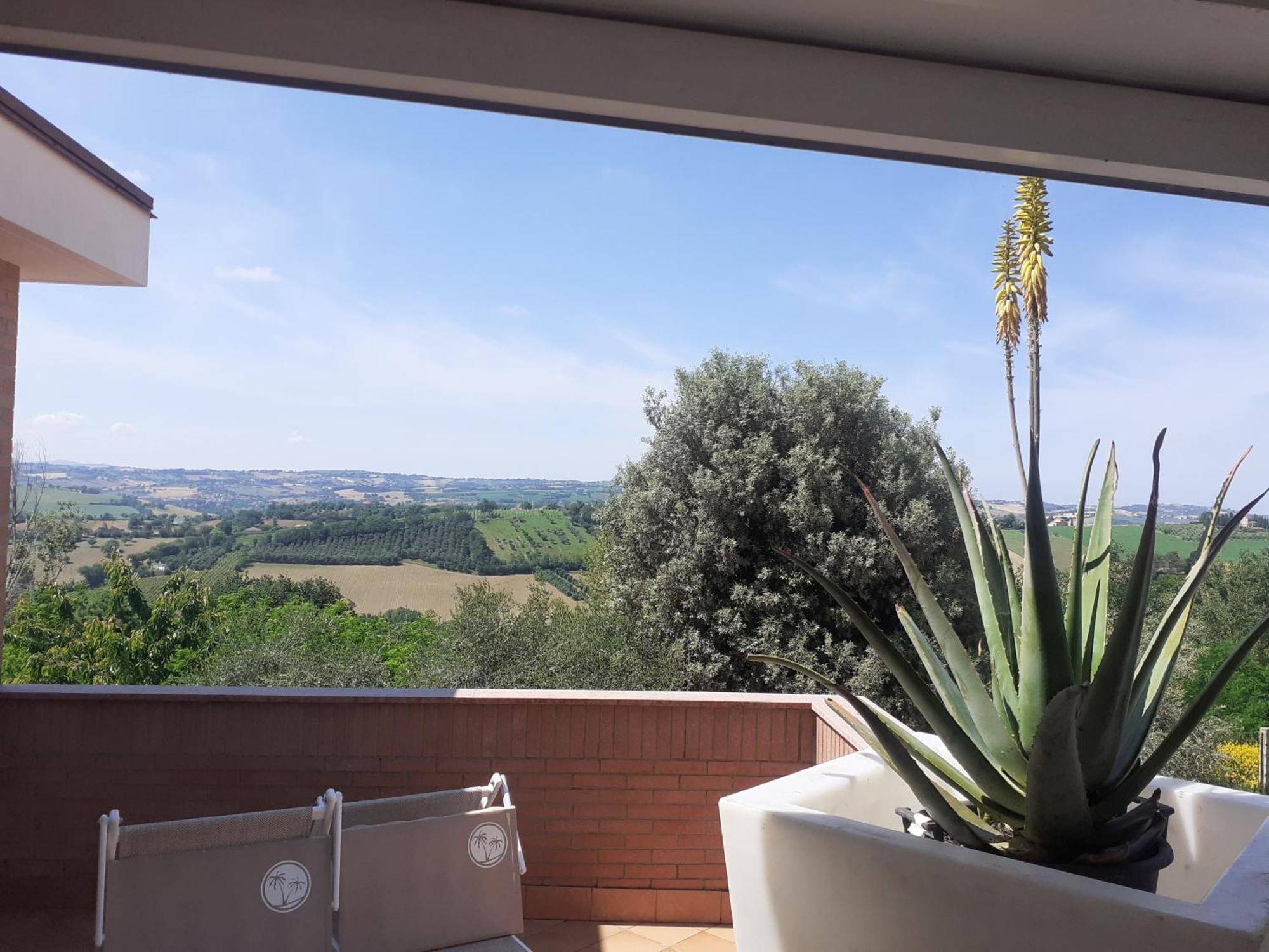 La Principessa Nera B&B Ostra Esterno foto